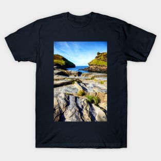 Boscastle Rocks, Cornwall, UK T-Shirt